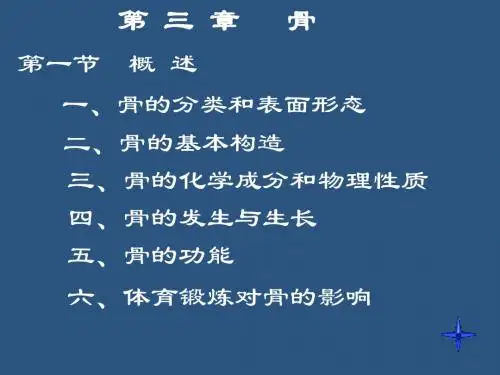 骨