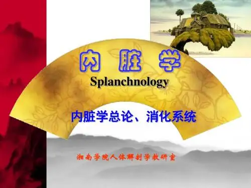 系统解剖学消化系统2