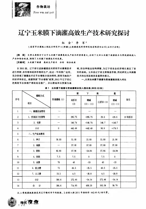 辽宁玉米膜下滴灌高效生产技术研究探讨