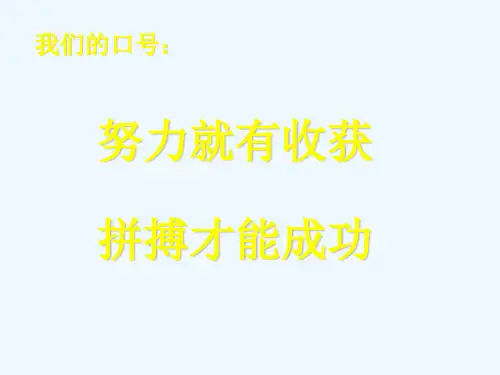 九年级政治第四课《全民共同致富》课件