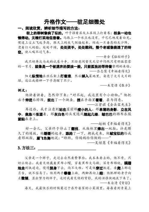 苏教版八年级语文上册《二单元 爱国情怀  写作：有详有略,详略得当  作后讲评 .修改升格》研讨课教案_0