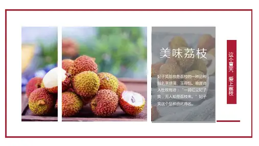 美味荔枝夏日尝鲜PPT模板课件