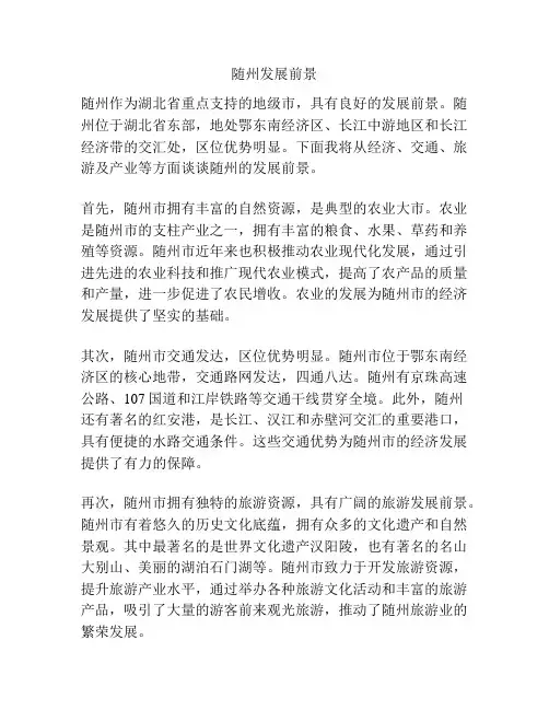 随州发展前景