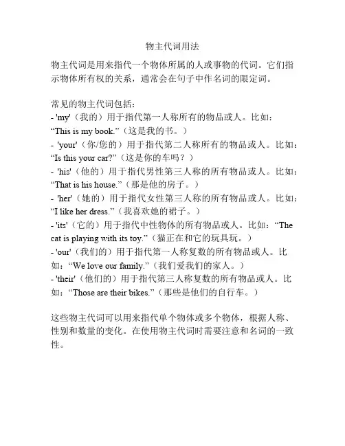 物主代词用法