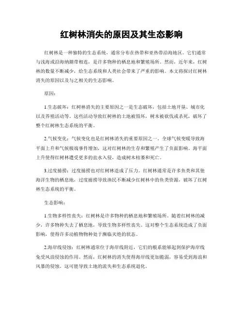 红树林消失的原因及其生态影响
