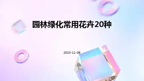 园林绿化常用花卉20种