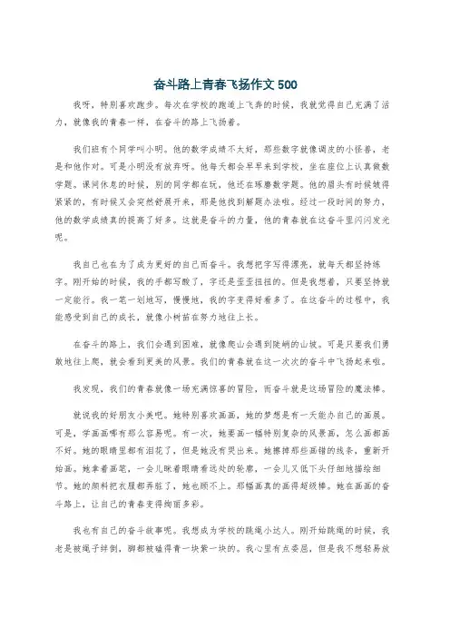 奋斗路上青春飞扬作文500