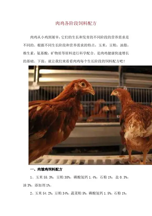 肉鸡各阶段饲料配方