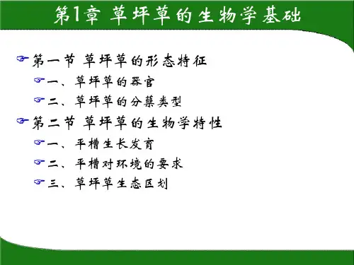 01草坪建植与养护报告