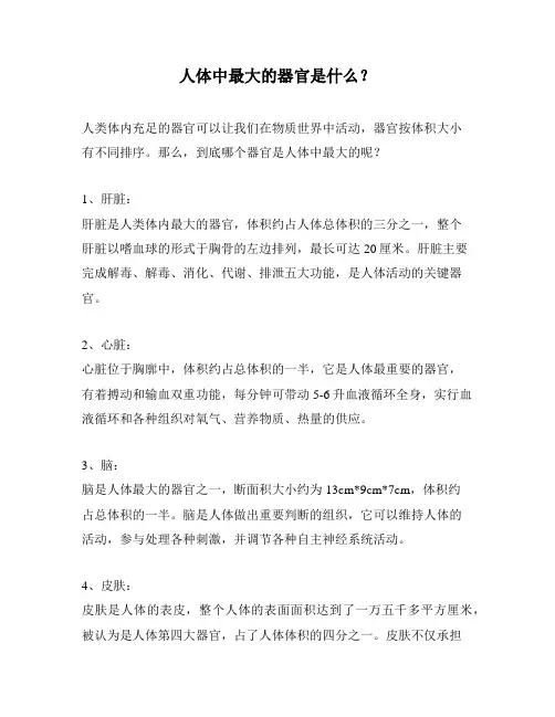 人体中最大的器官是什么？