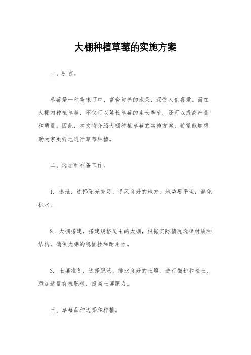 大棚种植草莓的实施方案