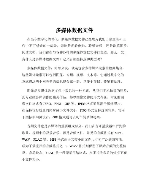 多媒体数据文件