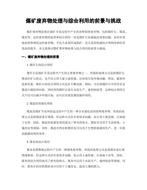 煤矿废弃物处理与综合利用的前景与挑战