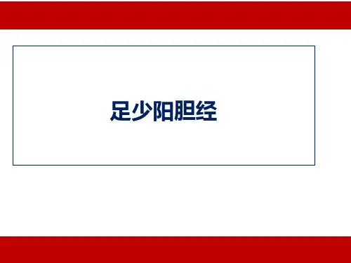 足少阳胆经