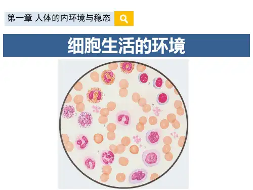 高三生物一轮复习课件内环境稳态