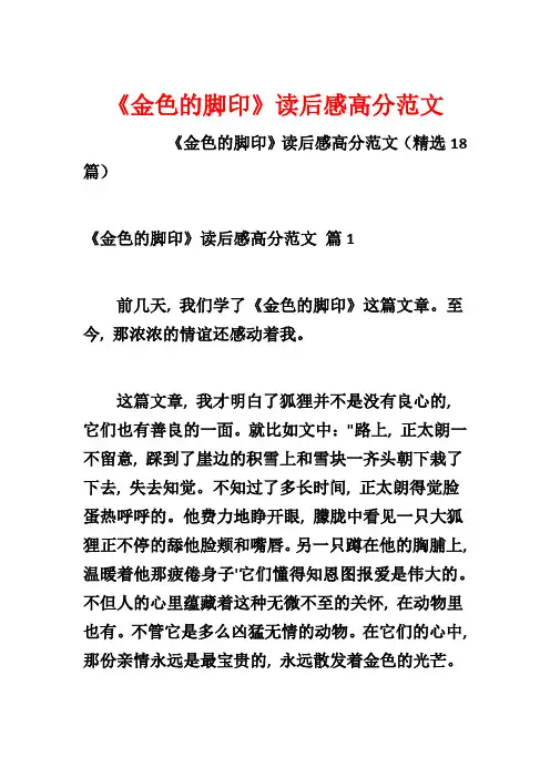 《金色的脚印》读后感高分范文1