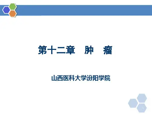肿瘤PPT课件