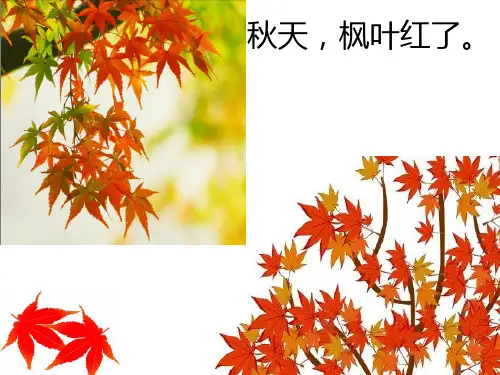 《秋姑娘的信》分析