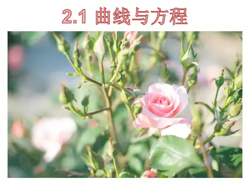 高二数学2.1 曲线与方程优秀课件