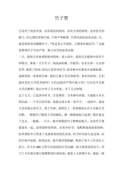 初一状物竹子赞