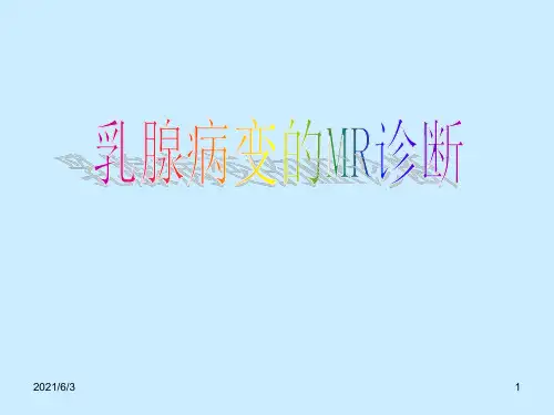 乳腺MRI诊断PPT优秀课件