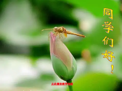 《论美》ppt课件