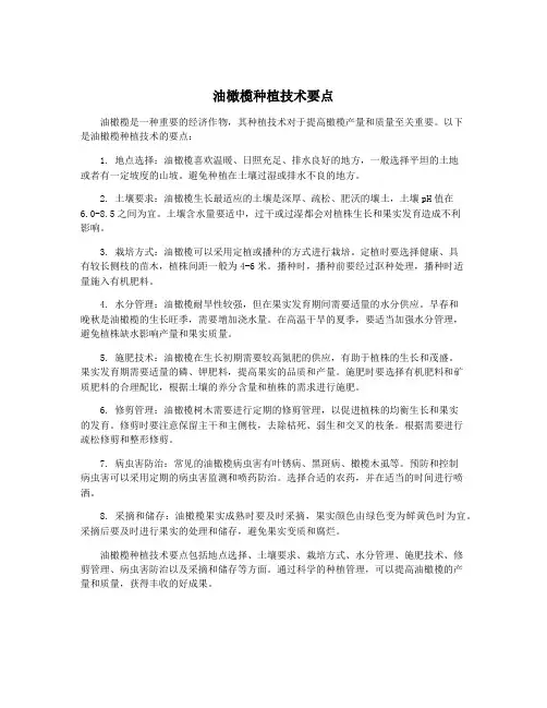 油橄榄种植技术要点