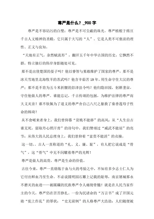 尊严是什么？_900字