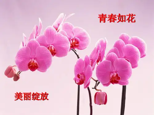 中考前最后一次班会PPT
