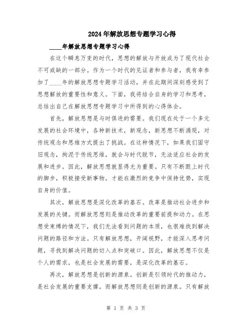 2024年解放思想专题学习心得