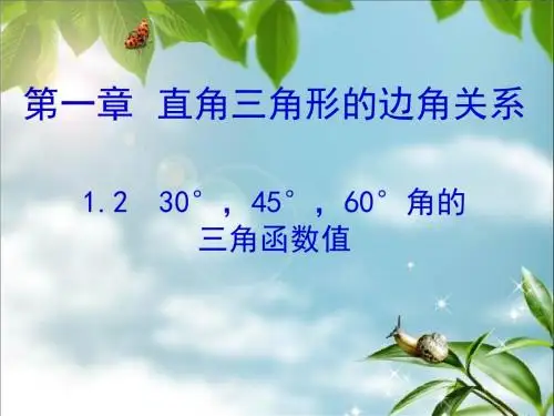 1.2 30°,45°,60°角的三角函数值 演示文稿