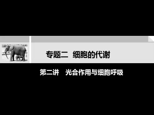 生物二轮复习 呼吸作用与光合作用课件