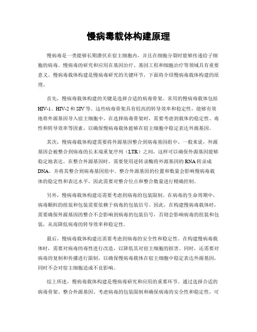 慢病毒载体构建原理