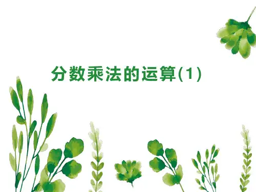 人教版六年级上册数学分数乘法运算课件(共44张PPT)