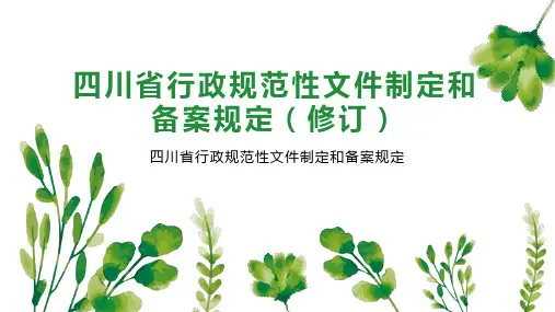 四川省行政规范性文件制定和备案规定(修订)