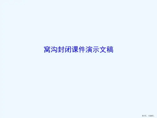 窝沟封闭课件演示文稿