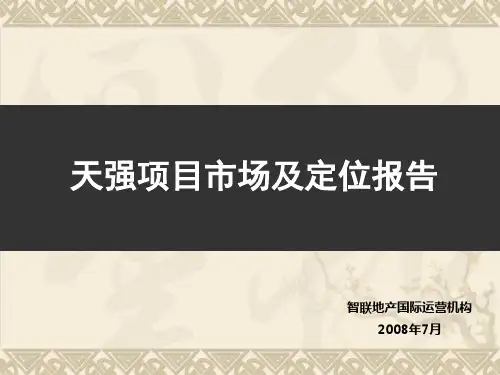 某项目市场与目标定位报告.pptx