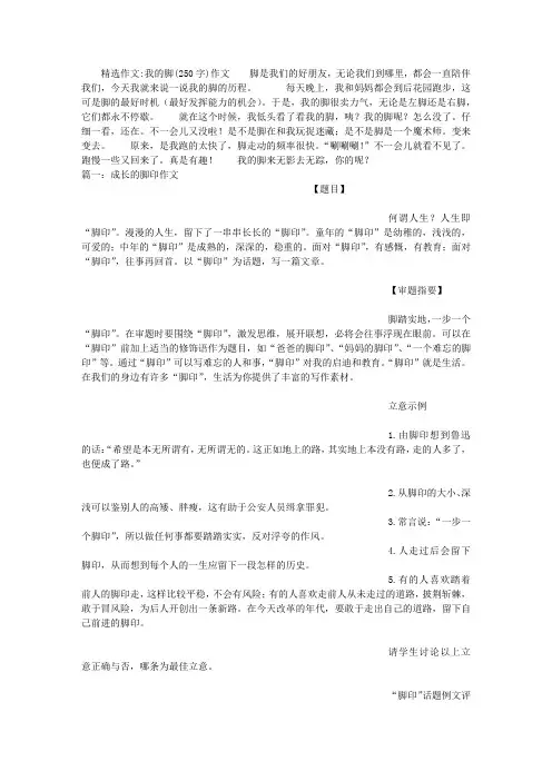 我的脚(250字)作文