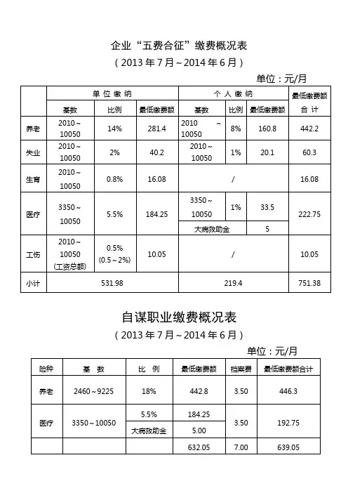 2013-2014社保缴费