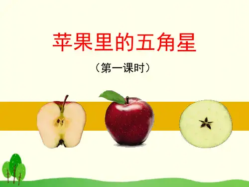 《苹果里的五角星》PPT