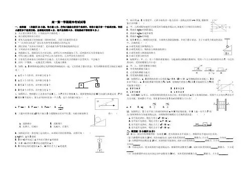 人教版必修一高一物理期末综合测试卷(含答案)
