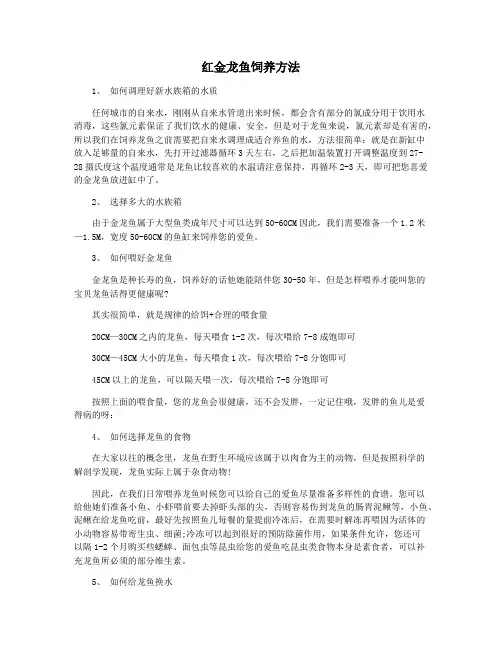 红金龙鱼饲养方法