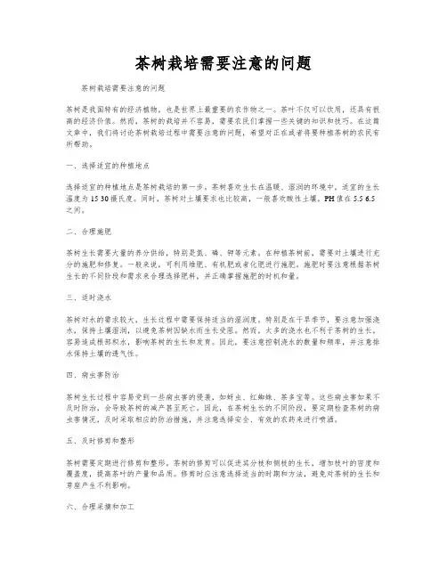 茶树栽培需要注意的问题