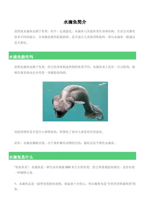 水滴鱼简介