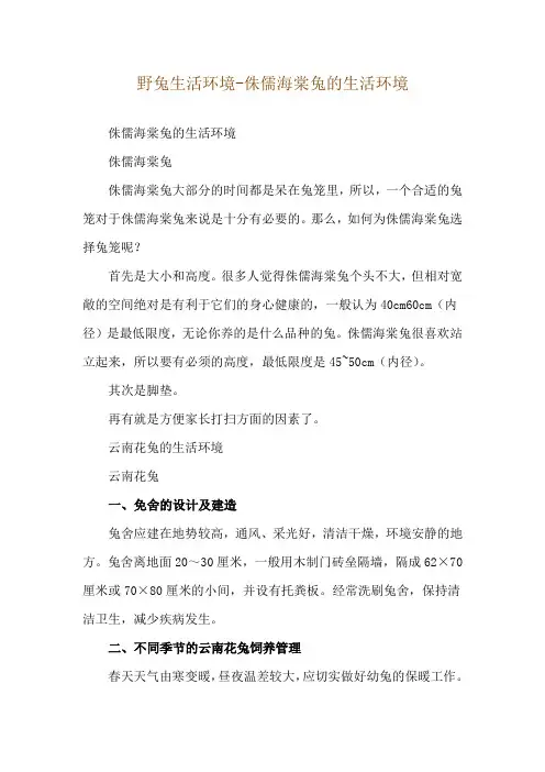野兔生活环境-侏儒海棠兔的生活环境