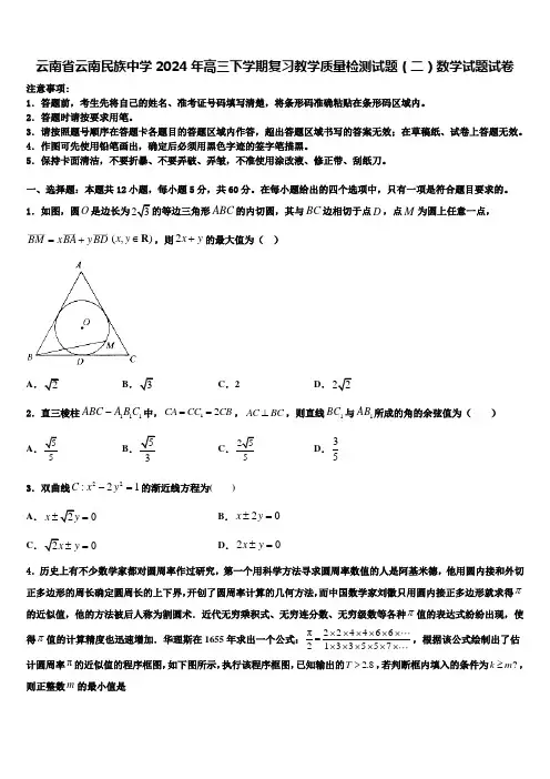云南省云南民族中学2024年高三下学期复习教学质量检测试题(二)数学试题试卷