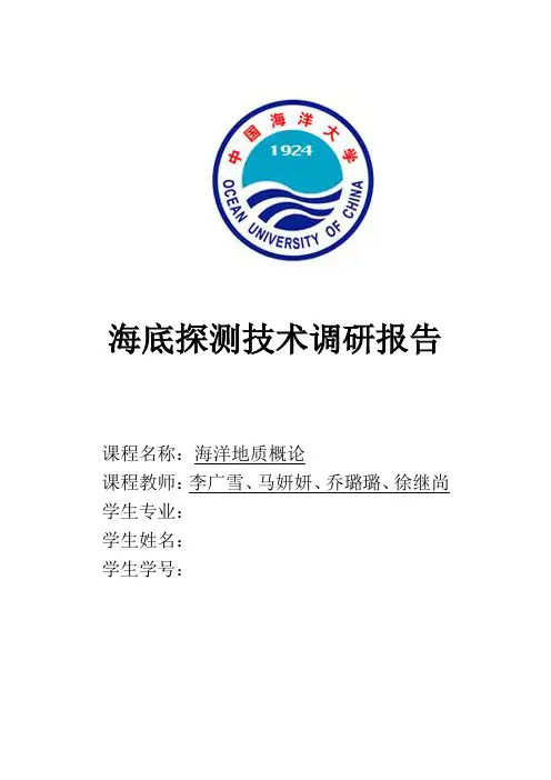 国内外海底探测技术调研报告