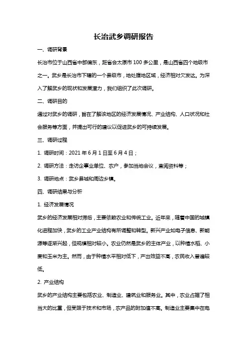 长治武乡调研报告