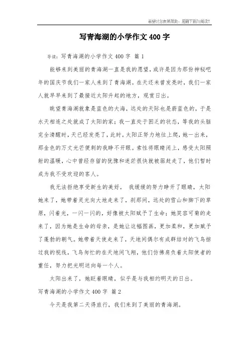 写青海湖的小学作文400字_2