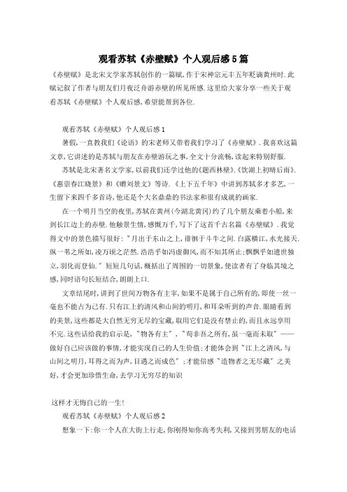 观看苏轼《赤壁赋》个人观后感5篇